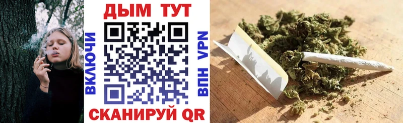 Бошки марихуана Amnesia  МЕГА ссылка  Лениногорск 
